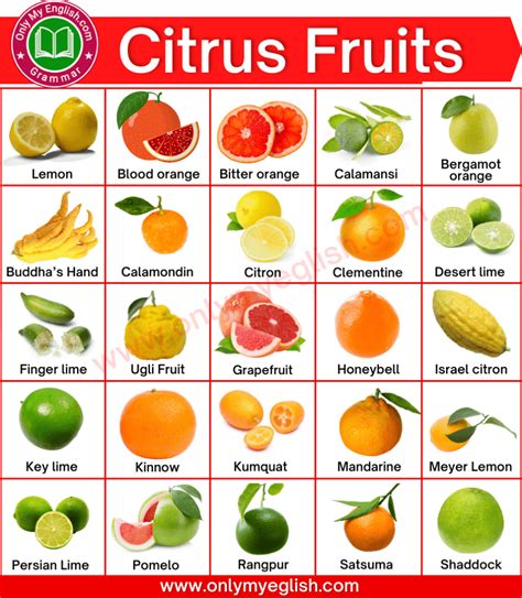 list of citrus|List of 30+ Citrus Fruits are rich in Vitamin C .